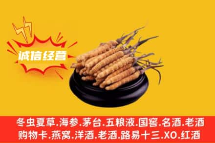 西安市莲湖回收冬虫夏草